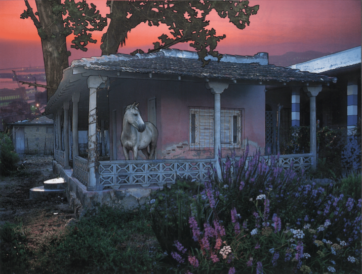 White horse standing on the porch of a small pink house at sunset